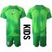 Cheap Croatia Goalkeeper Home Football Kit Children World Cup 2022 Short Sleeve (+ pants)